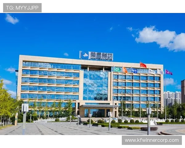 详细介绍k8凯发国际登录入口的多种登录方式，满足不同玩家的个性化需求